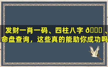发财一肖一码、四柱八字 🐒 、命盘查询，这些真的能助你成功吗